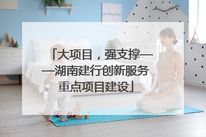 大项目，强支撑——湖南建行创新服务重点项目建设