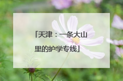 天津：一条大山里的护学专线