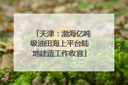 天津：渤海亿吨级油田海上平台陆地建造工作收官