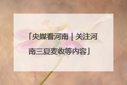 央媒看河南｜关注河南三夏麦收等内容