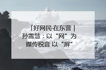好网民·在东营｜孙雪慧：以“网”为媒传税音 以“屏”为介助发展