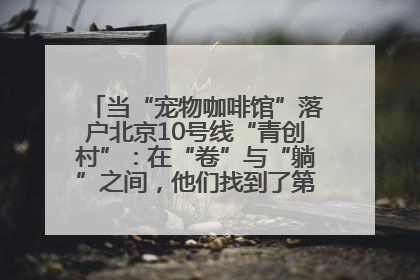 当“宠物咖啡馆”落户北京10号线“青创村”：在“卷”与“躺”之间，他们找到了第三种生活公式