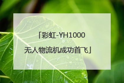 彩虹-YH1000无人物流机成功首飞