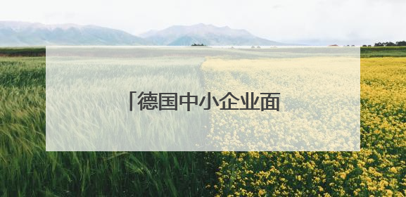 德国中小企业面临后继无人困境