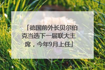 德国前外长贝尔伯克当选下一届联大主席，今年9月上任
