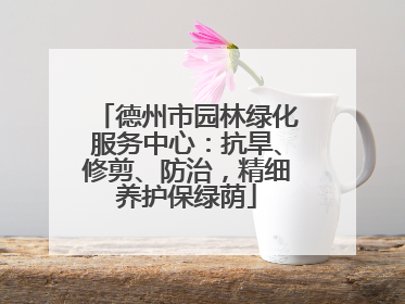 德州市园林绿化服务中心：抗旱、修剪、防治，精细养护保绿荫