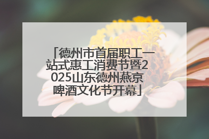 德州市首届职工一站式惠工消费节暨2025山东德州燕京啤酒文化节开幕
