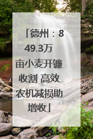 德州：849.3万亩小麦开镰收割 高效农机减损助增收