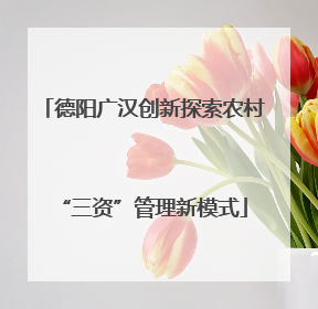 德阳广汉创新探索农村“三资”管理新模式