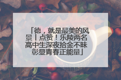 德，就是最美的风景丨点赞！乐陵两名高中生深夜拾金不昧 彰显青春正能量