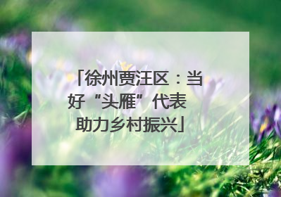 徐州贾汪区：当好“头雁”代表 助力乡村振兴