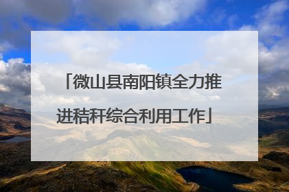 微山县南阳镇全力推进秸秆综合利用工作