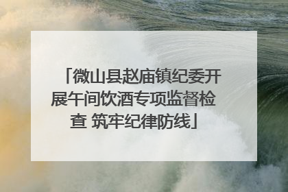 微山县赵庙镇纪委开展午间饮酒专项监督检查 筑牢纪律防线