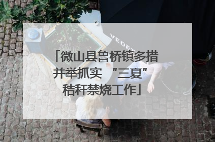 微山县鲁桥镇多措并举抓实 “三夏” 秸秆禁烧工作