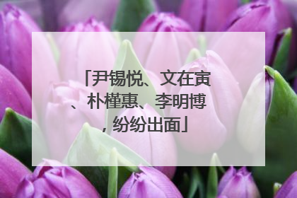 尹锡悦、文在寅、朴槿惠、李明博，纷纷出面
