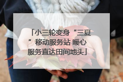 小三轮变身“三夏”移动服务站 暖心服务直达田间地头