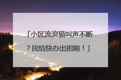 小区流浪猫叫声不断？民情快办出招啦！