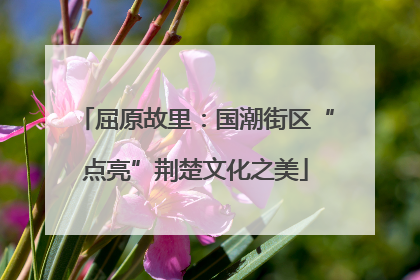 屈原故里：国潮街区“点亮”荆楚文化之美