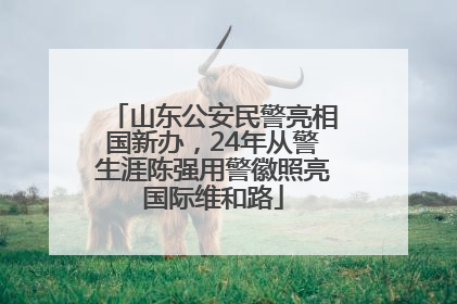 山东公安民警亮相国新办，24年从警生涯陈强用警徽照亮国际维和路