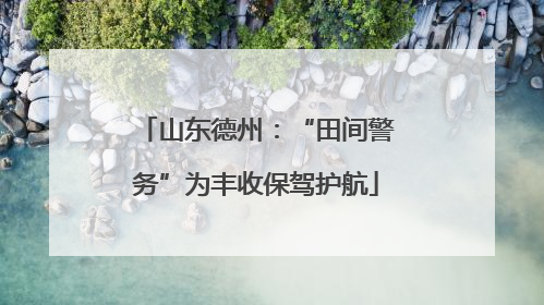 山东德州：“田间警务”为丰收保驾护航
