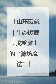 山东援藏｜生态援藏，戈壁滩上的“潍坊魔法”