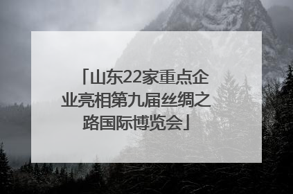 山东22家重点企业亮相第九届丝绸之路国际博览会