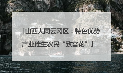 山西大同云冈区：特色优势产业催生农民“致富花”