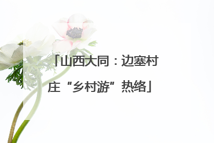 山西大同：边塞村庄“乡村游”热络