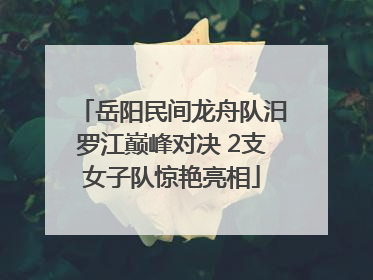 岳阳民间龙舟队汨罗江巅峰对决 2支女子队惊艳亮相