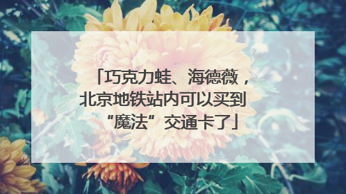 巧克力蛙、海德薇，北京地铁站内可以买到“魔法”交通卡了