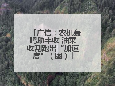 广信：农机轰鸣助丰收 油菜收割跑出“加速度”（图）