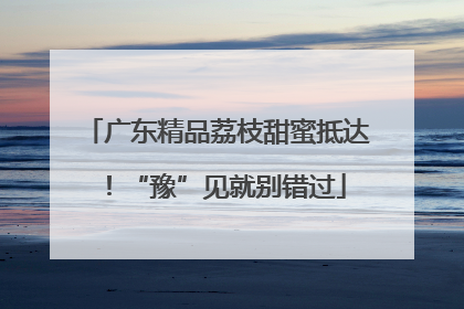 广东精品荔枝甜蜜抵达！“豫”见就别错过