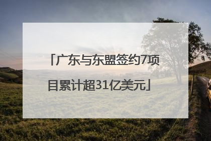 广东与东盟签约7项目累计超31亿美元