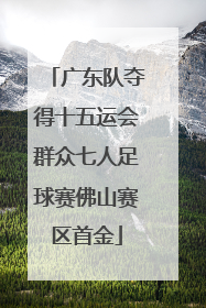 广东队夺得十五运会群众七人足球赛佛山赛区首金