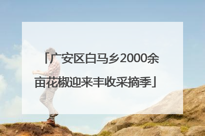 广安区白马乡2000余亩花椒迎来丰收采摘季