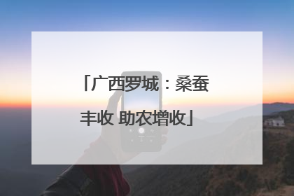 广西罗城：桑蚕丰收 助农增收