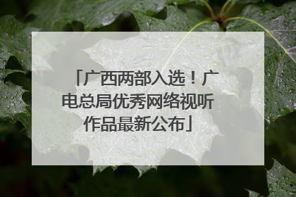 广西两部入选！广电总局优秀网络视听作品最新公布