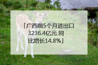 广西前5个月进出口3236.4亿元 同比增长14.8%