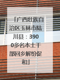 广西壮族自治区玉林市陆川县：3900多名本土干部回乡解纷促和