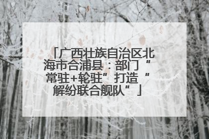 广西壮族自治区北海市合浦县：部门“常驻+轮驻”打造“解纷联合舰队”