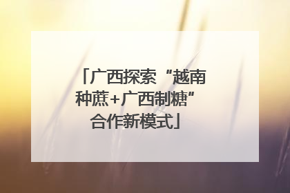 广西探索“越南种蔗+广西制糖”合作新模式