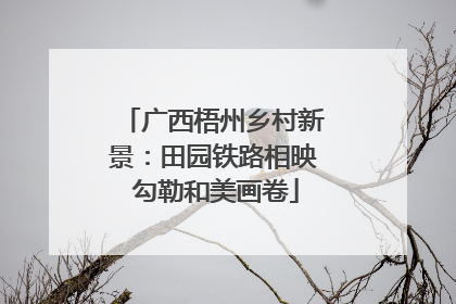广西梧州乡村新景：田园铁路相映 勾勒和美画卷