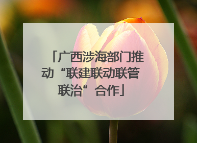 广西涉海部门推动“联建联动联管联治”合作