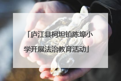 庐江县柯坦镇陈埠小学开展法治教育活动