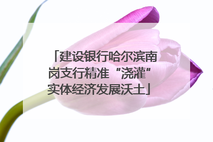 建设银行哈尔滨南岗支行精准“浇灌”实体经济发展沃土