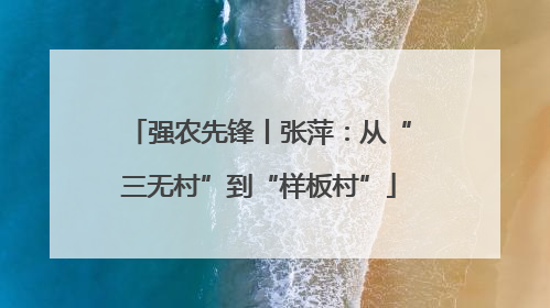 强农先锋丨张萍：从“三无村”到“样板村”
