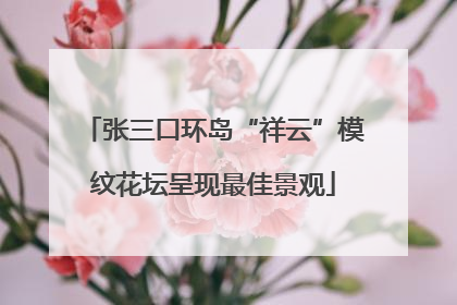 张三口环岛“祥云”模纹花坛呈现最佳景观