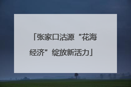 张家口沽源“花海经济”绽放新活力