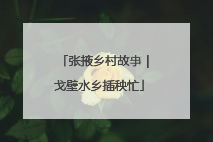张掖乡村故事｜戈壁水乡插秧忙