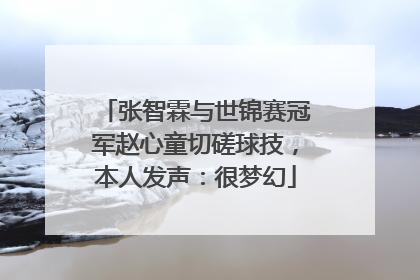 张智霖与世锦赛冠军赵心童切磋球技，本人发声：很梦幻